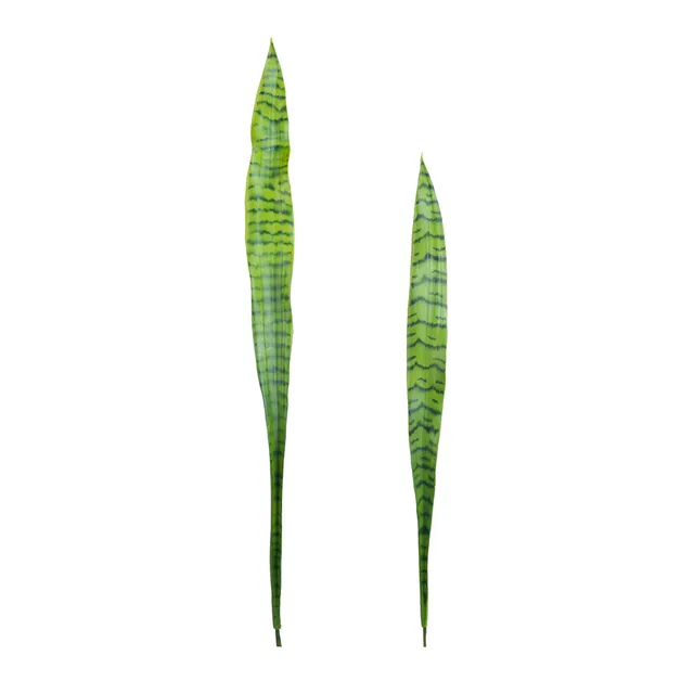 Sia Home Feuilles Sansevieria feuillage vert 91 cm lot 2