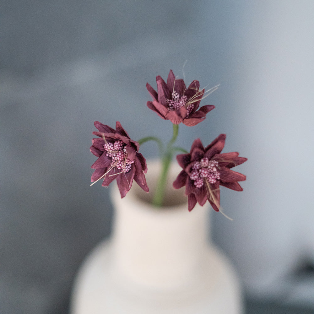 Flowrette Astrance fleur en papier violet x1 centre de table