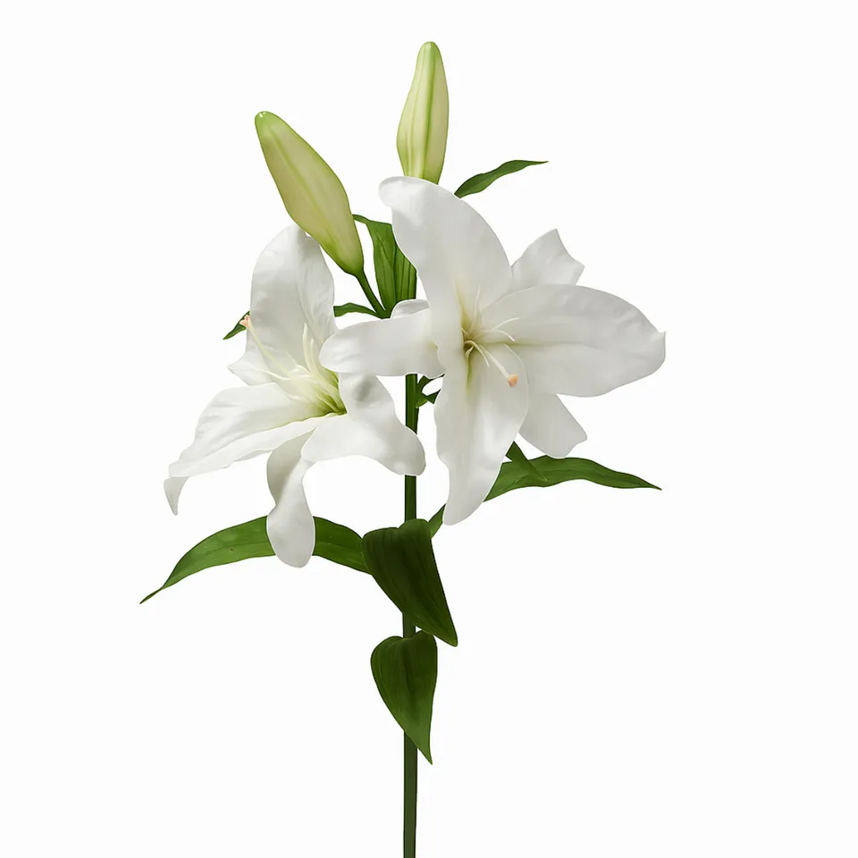 Sia Home Lys Casablanca tige 95 cm blanc