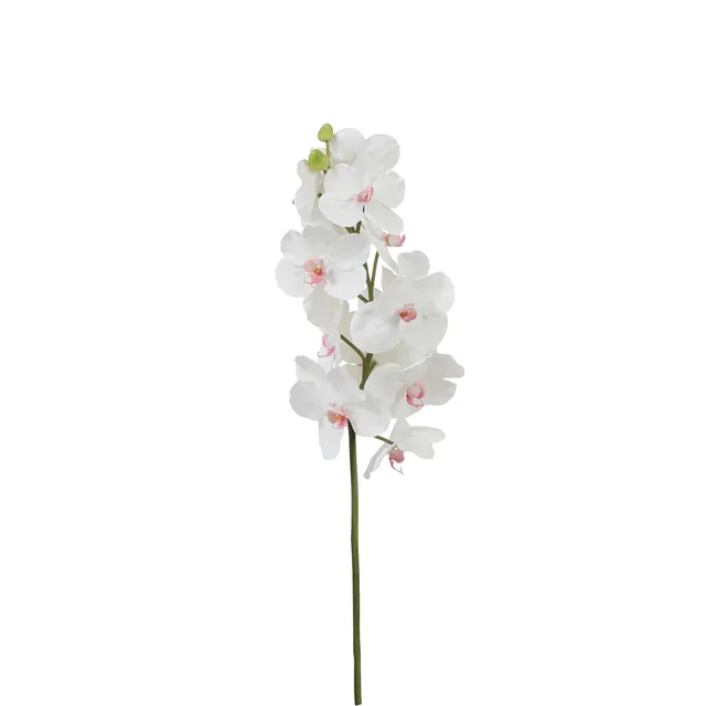 Sia Home Bandailan tige orchidée artificielle blanc rose 66 cm