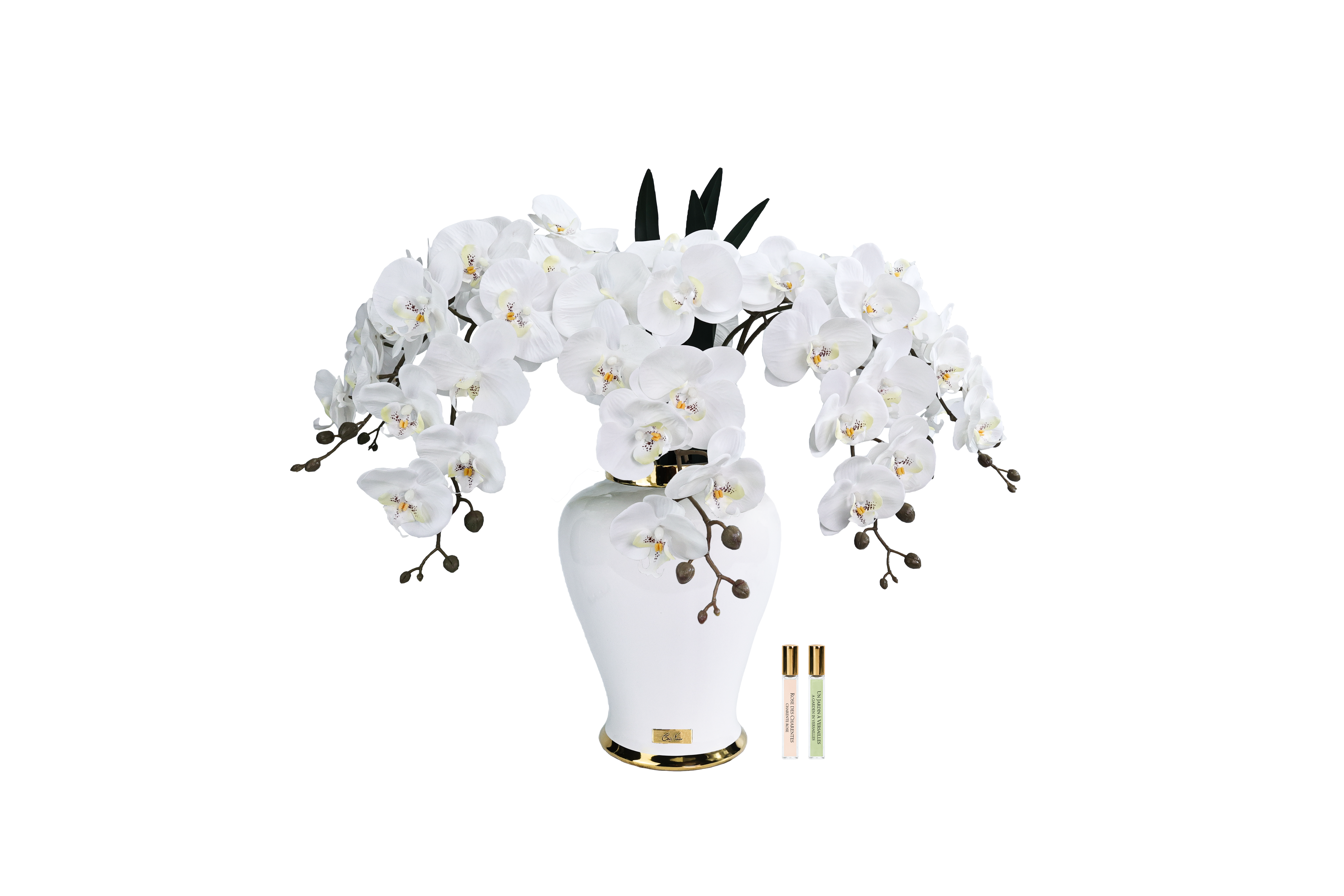 Côte Noire Imperial IMPO01 orchidée artificielle blanche urne