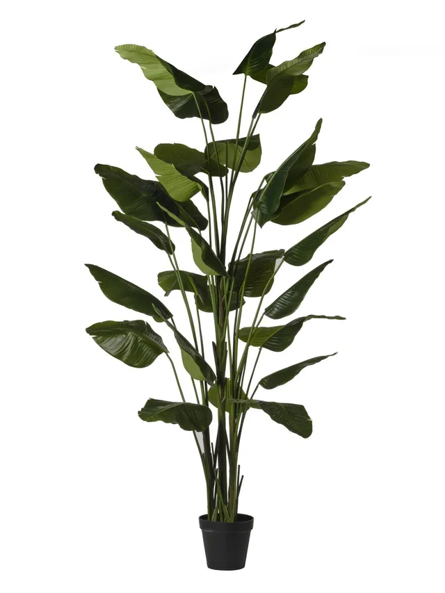 Feuillazur Rungis Traveller plante artificielle vert 180cm