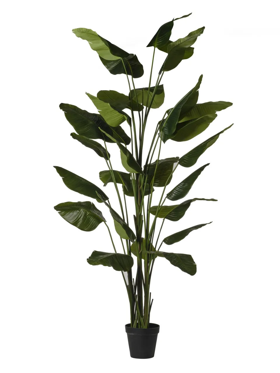 Feuillazur Rungis Traveller plante artificielle vert 180cm