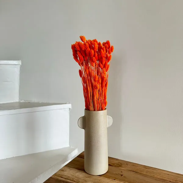 Flowrette Fleurs séchées botte phalaris orange foncé