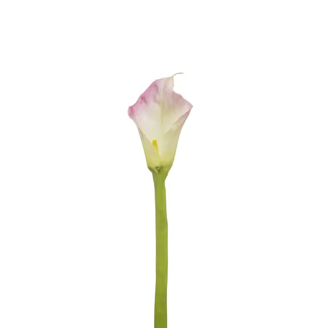 Sia Home Tige d'Arum Kelly fleur artificielle rose 92 cm