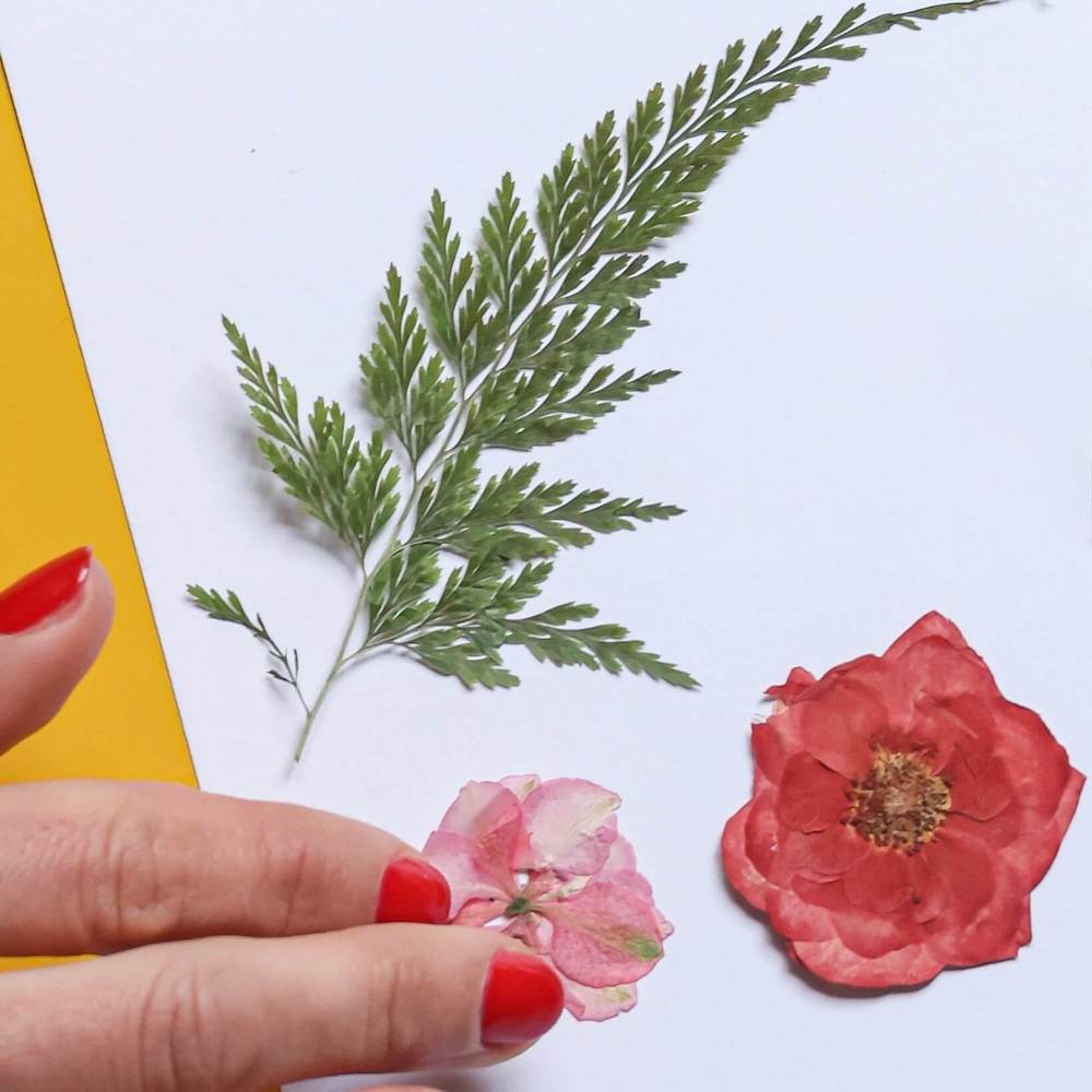 Flowrette pochette fleurs pressées rouges kit DIY