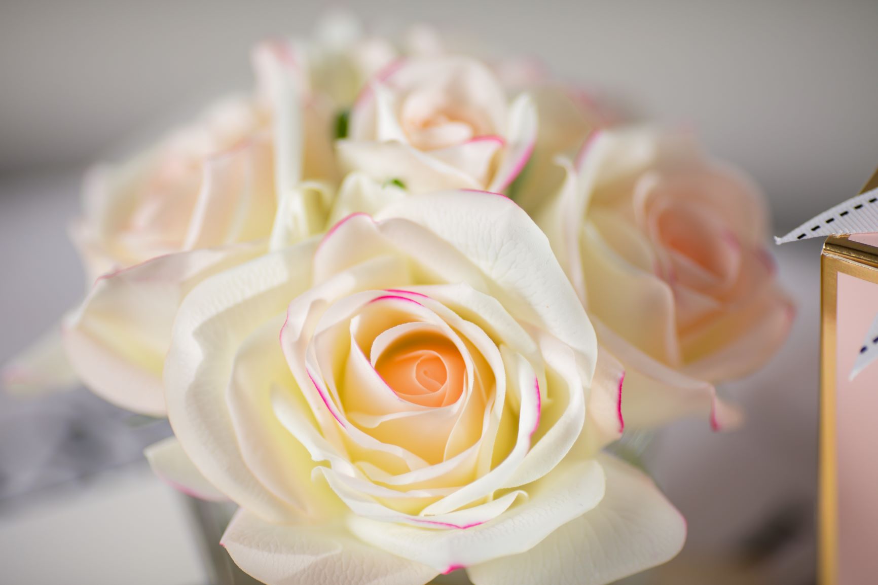 Côte Noire Perfumed Flowers GMR88 5 roses rose coffret rose
