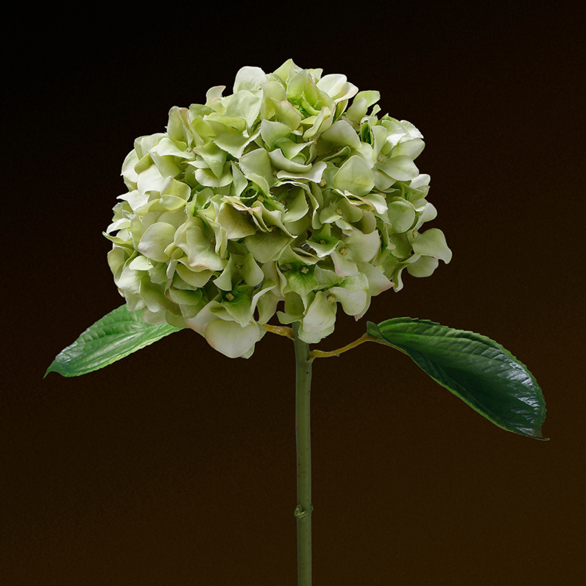 Sia Home Hortensia Premium 45 cm tige blanc et rose