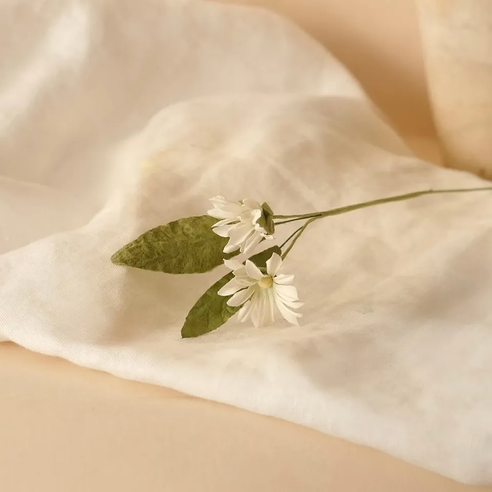 Flowrette Fleurs en papier Marguerites sauvages fleur blanche x1