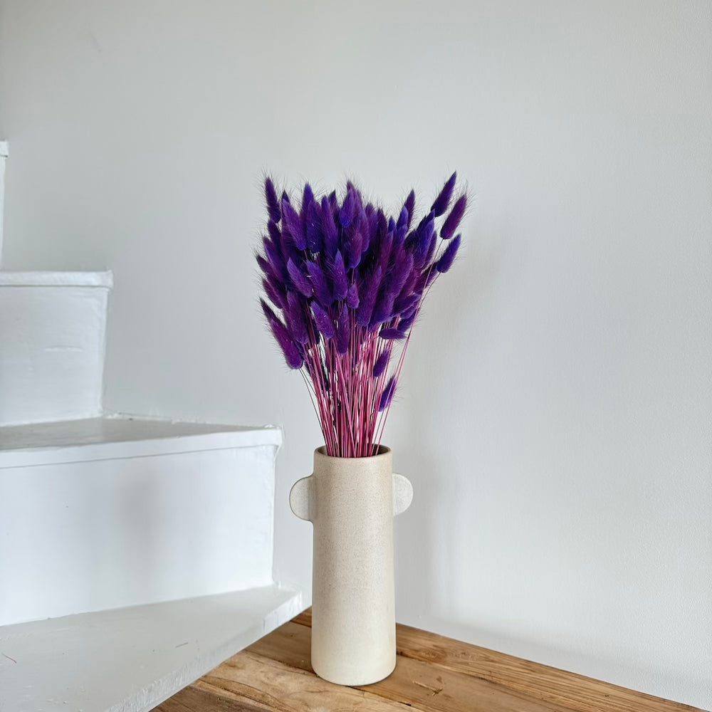Flowrette Lagurus botte séchée violet x1