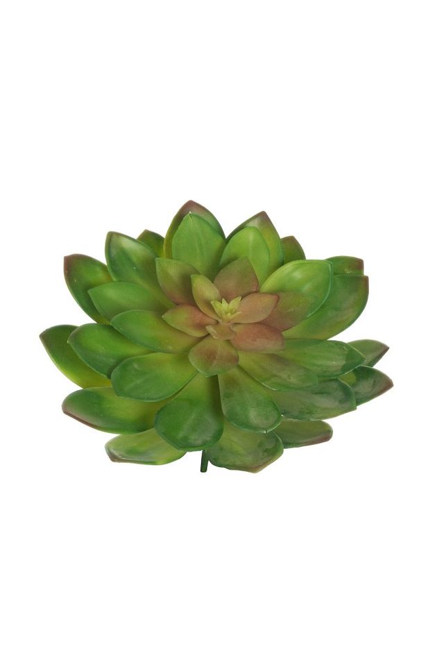 Feuillazur Rungis Echeveria artificiel vert/gris 26x23cm