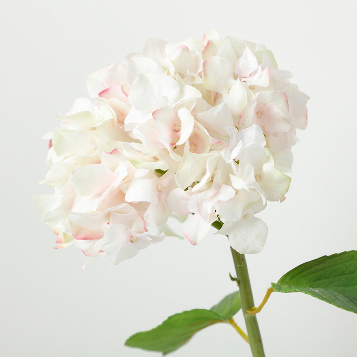 Sia Home Hortensia Premium 45 cm tige blanc et rose