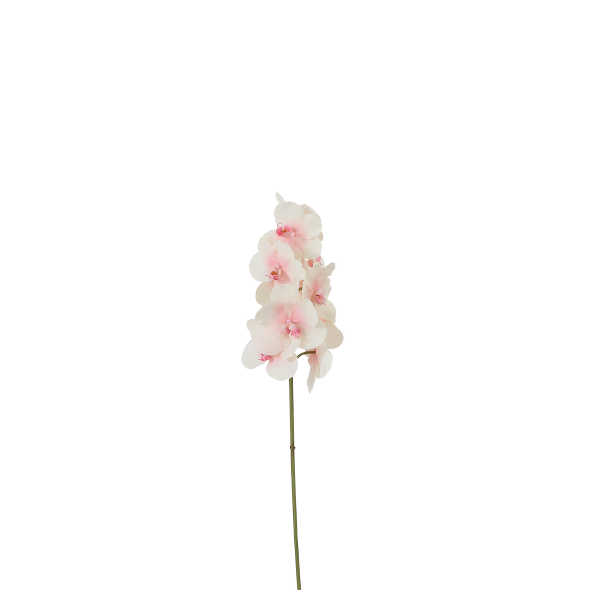 Sia Home Orchidée Phalaenopsis tige artificielle 50 cm blanc