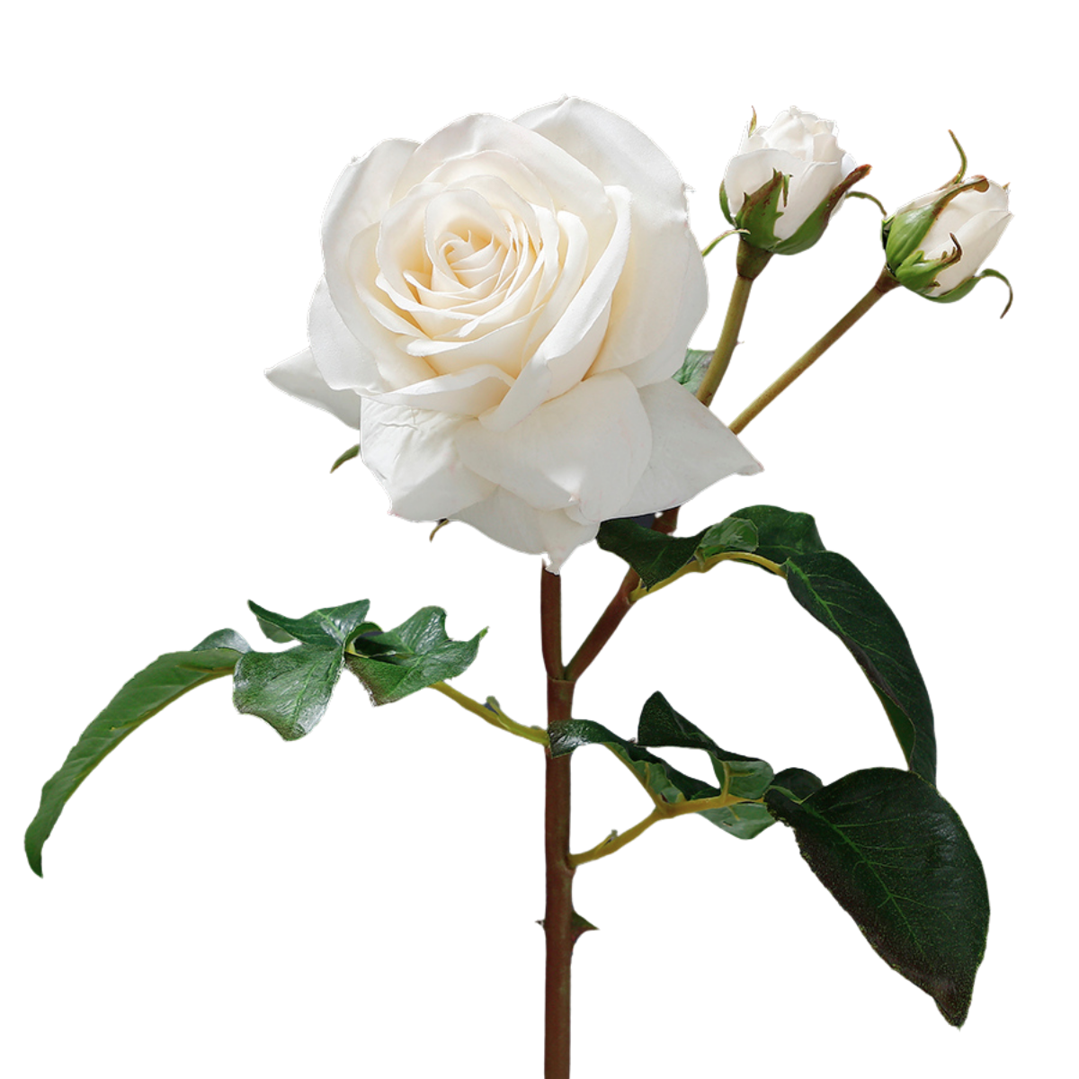 Sia Home tige rose artificielle rouge 56 cm Premium