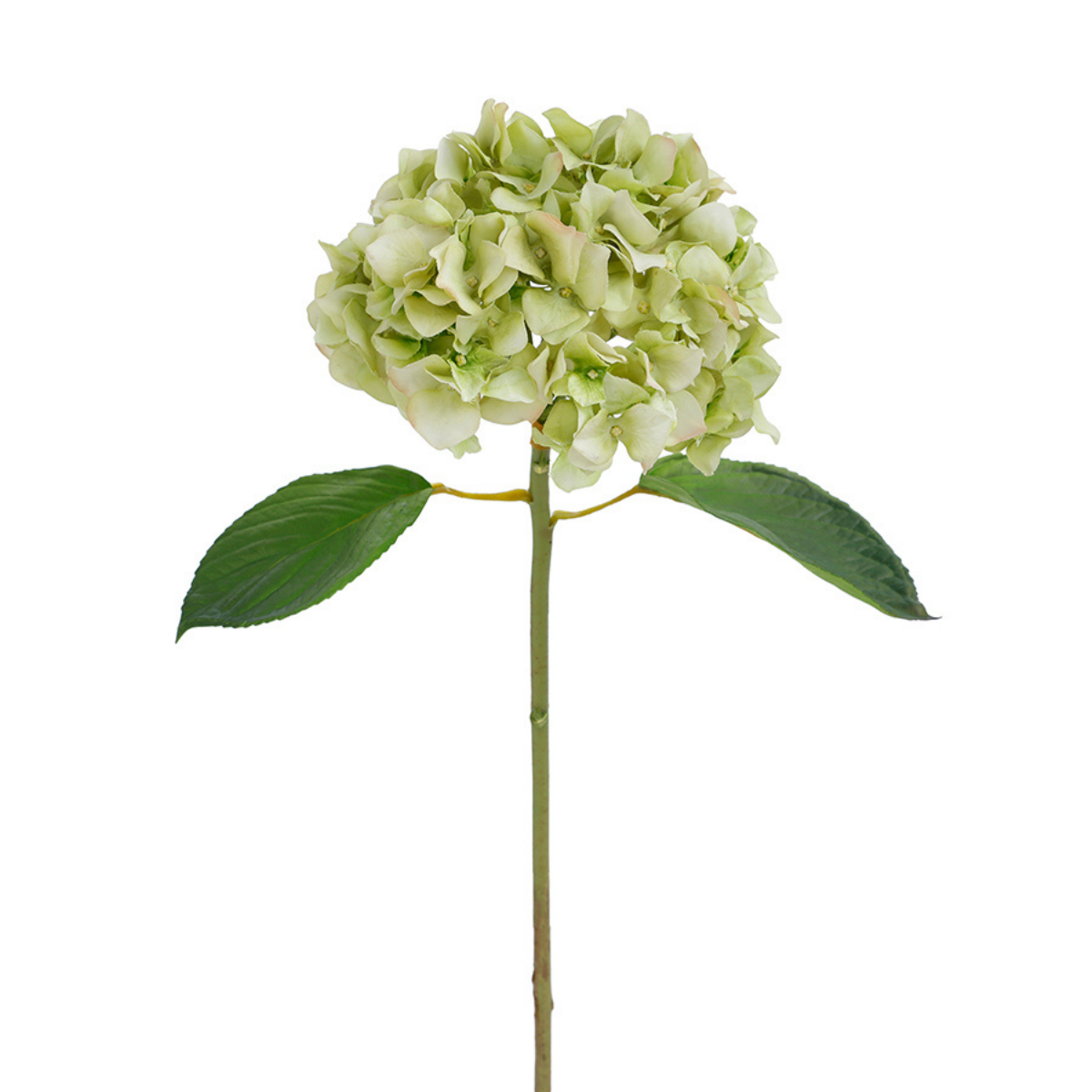 Sia Home Hortensia Premium 45 cm tige blanc et rose
