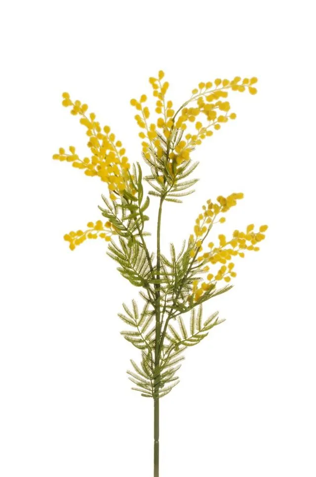 Feuillazur Rungis Branche de mimosa fleur artificielle verte 85,5 cm