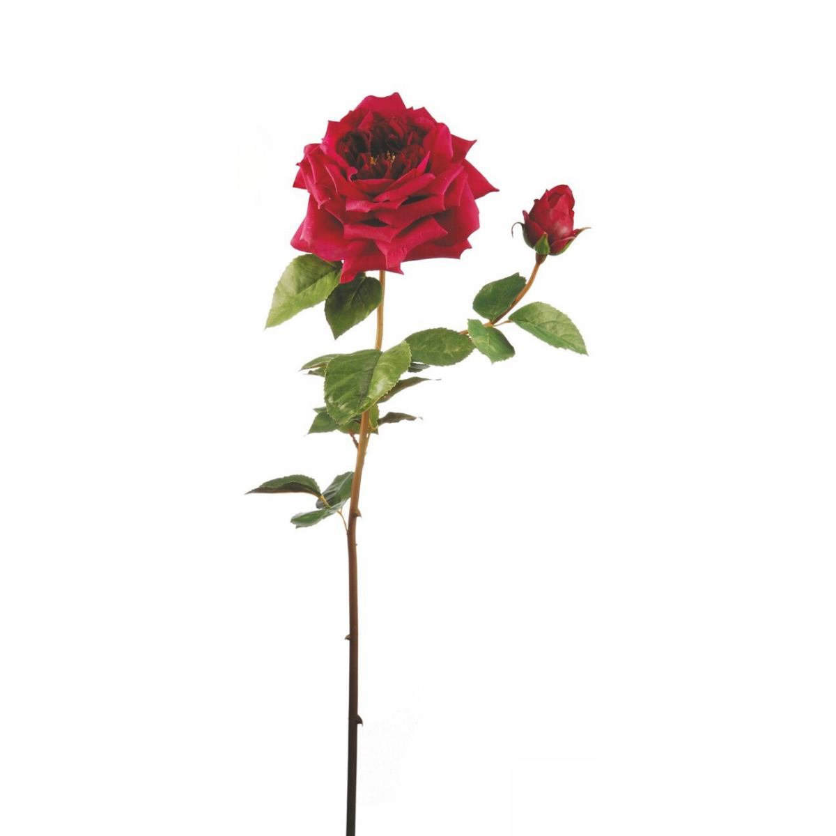 Sia Home Rose David ouverte tige artificielle rouge 80 cm