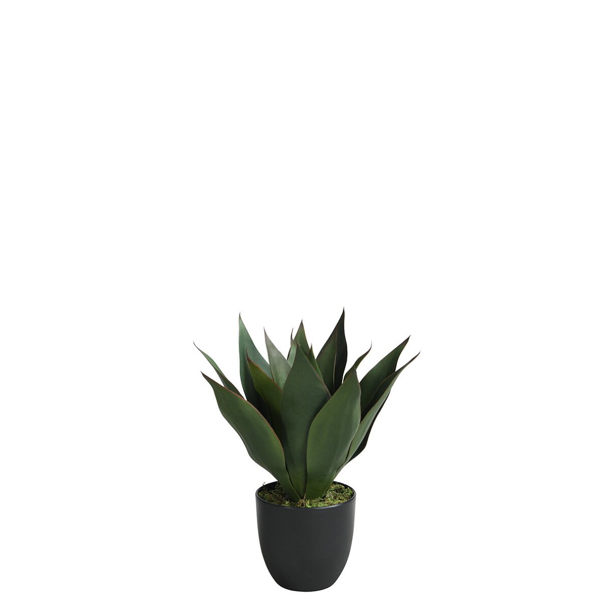 Sia Home Agave plante artificielle pot 35 cm vert