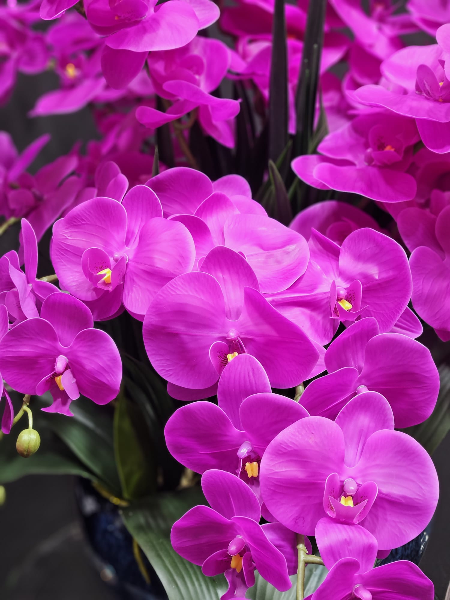 Côte Noire Centrepiece Bouquets CPO09 orchidées fuchsia