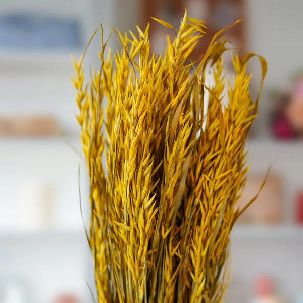 Flowrette Fleurs séchées Botte avoine jaune clair fleurs séchées