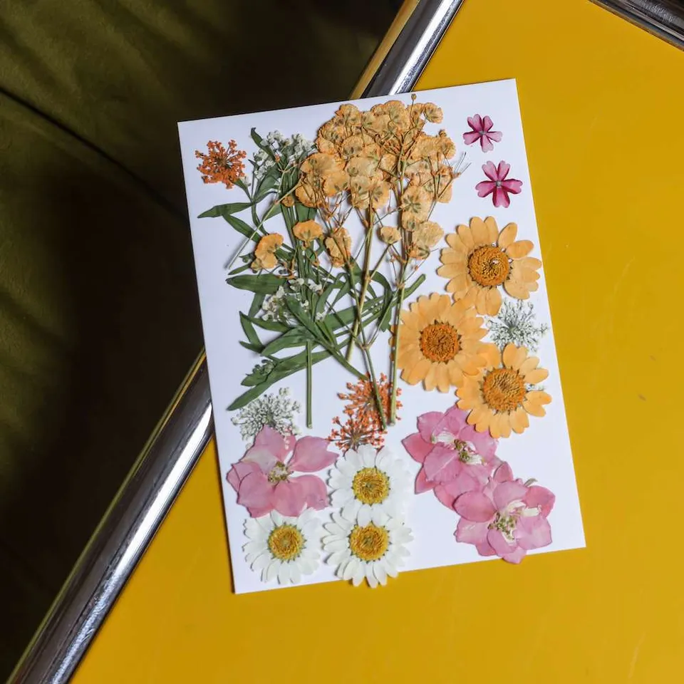 Flowrette Loisirs créatifs pochette fleurs pressées roses