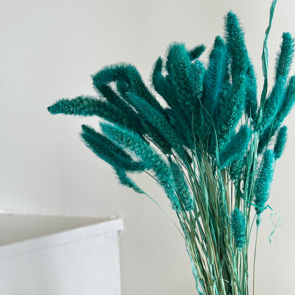 Flowrette Fleurs séchées botte sétaire turquoise x1 déco