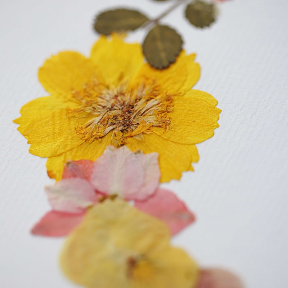Flowrette Ode à la Nature herbier fleurs séchées A4