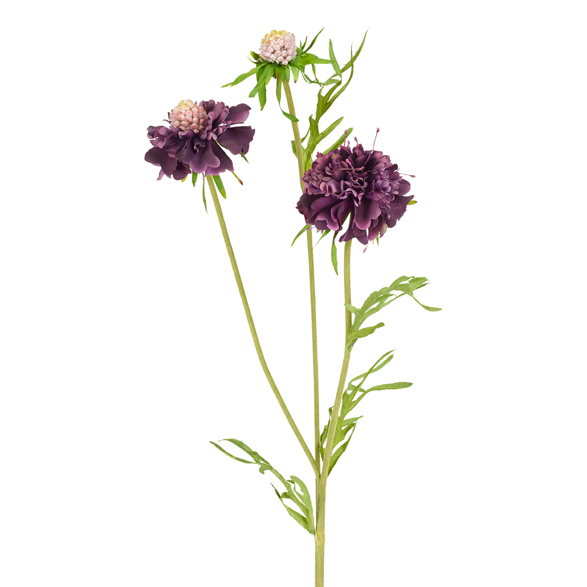 Sia Scabiosa tige fleur artificielle 59 cm blanc