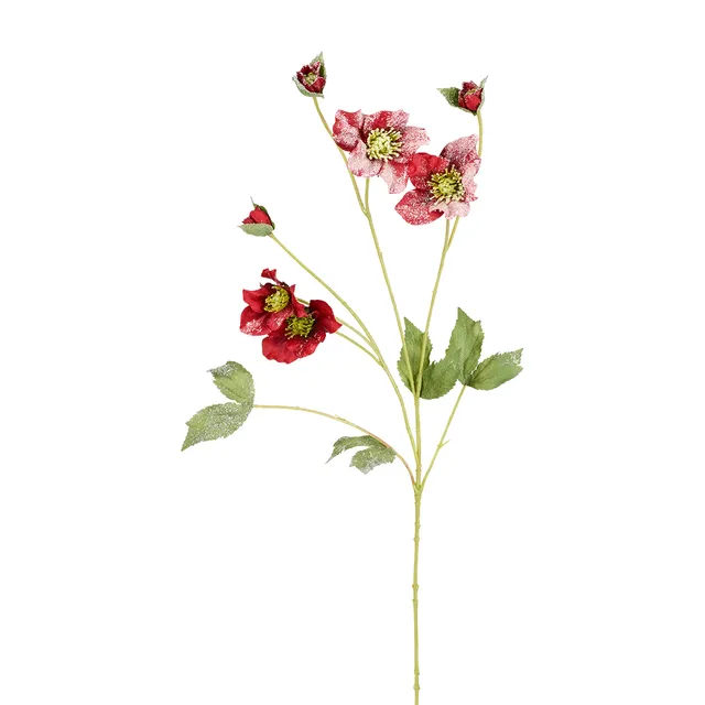 Sia Home Helleborus Tige Rose Noël 75 cm Rouge