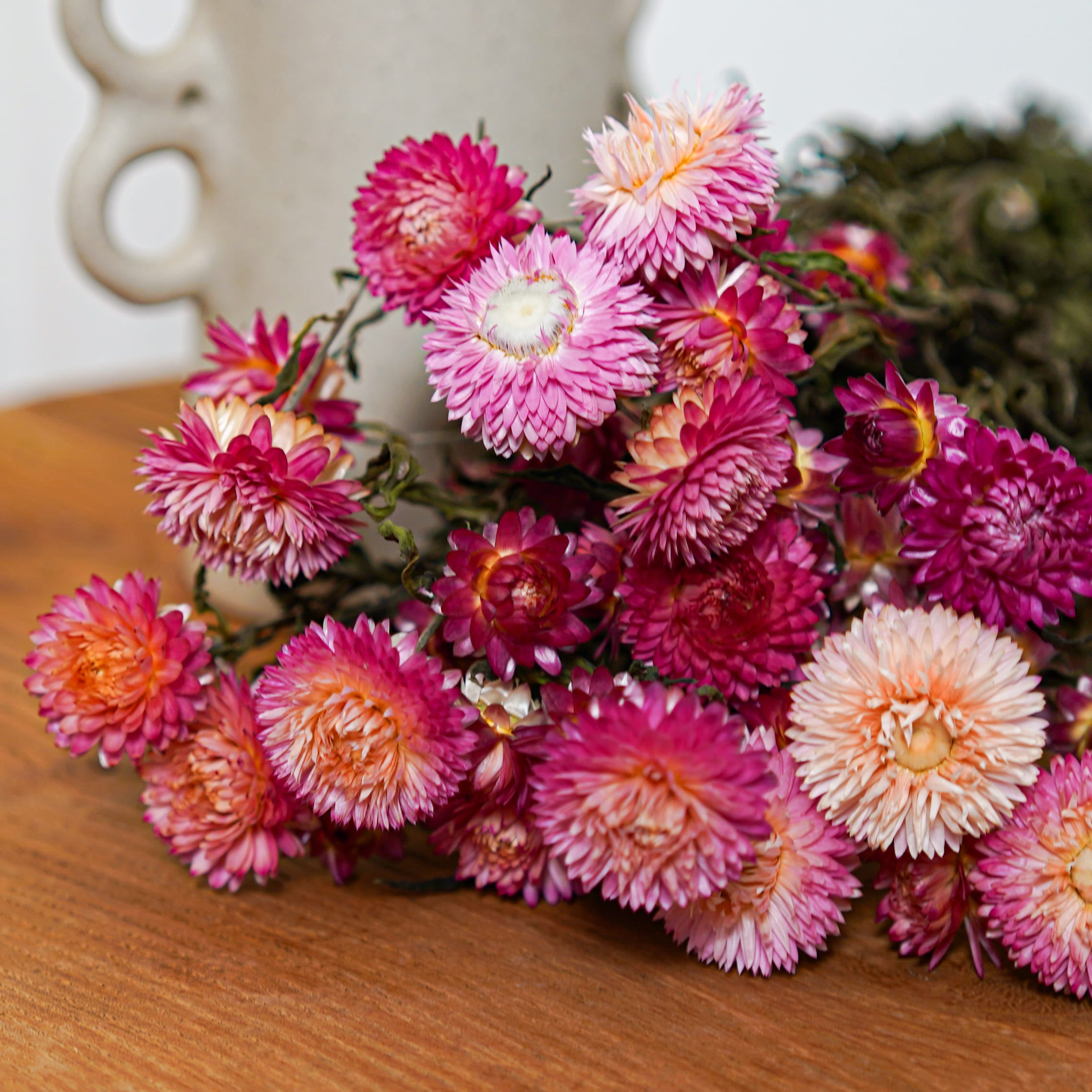 Flowrette Helichrysum botte fleurs séchées roses x1