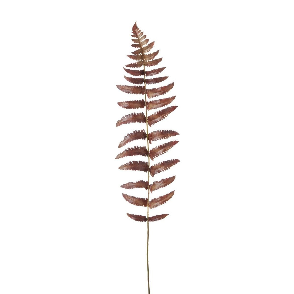 Sia Home Fougère Métallique 70 cm feuillage artificiel marron gris