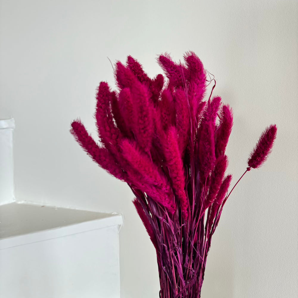 Flowrette Sétaire Magenta botte fleurs séchées x1 rose