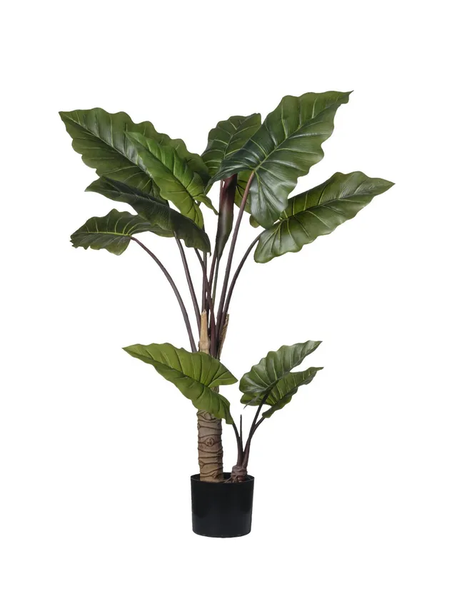 Feuillazur Rungis Colocasia plante artificielle sans entretien