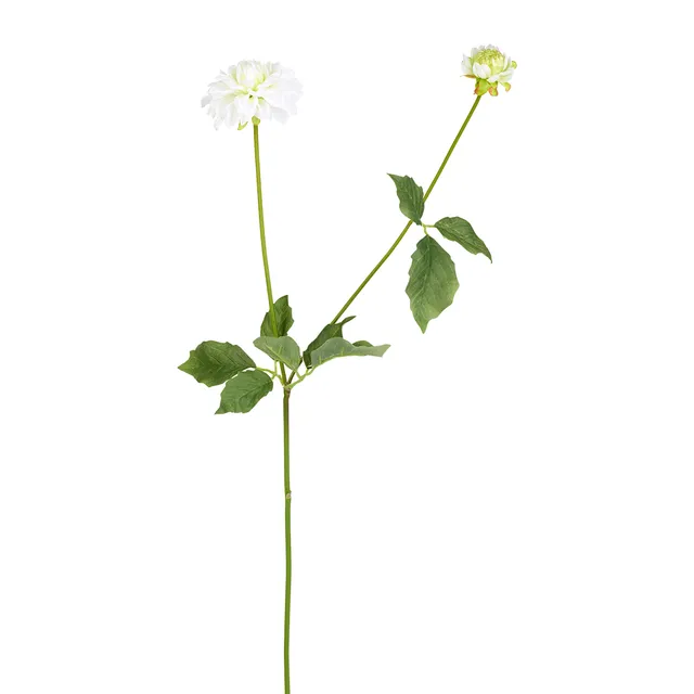 Sia Home Clara 69 cm tige dahlia blanc sans entretien