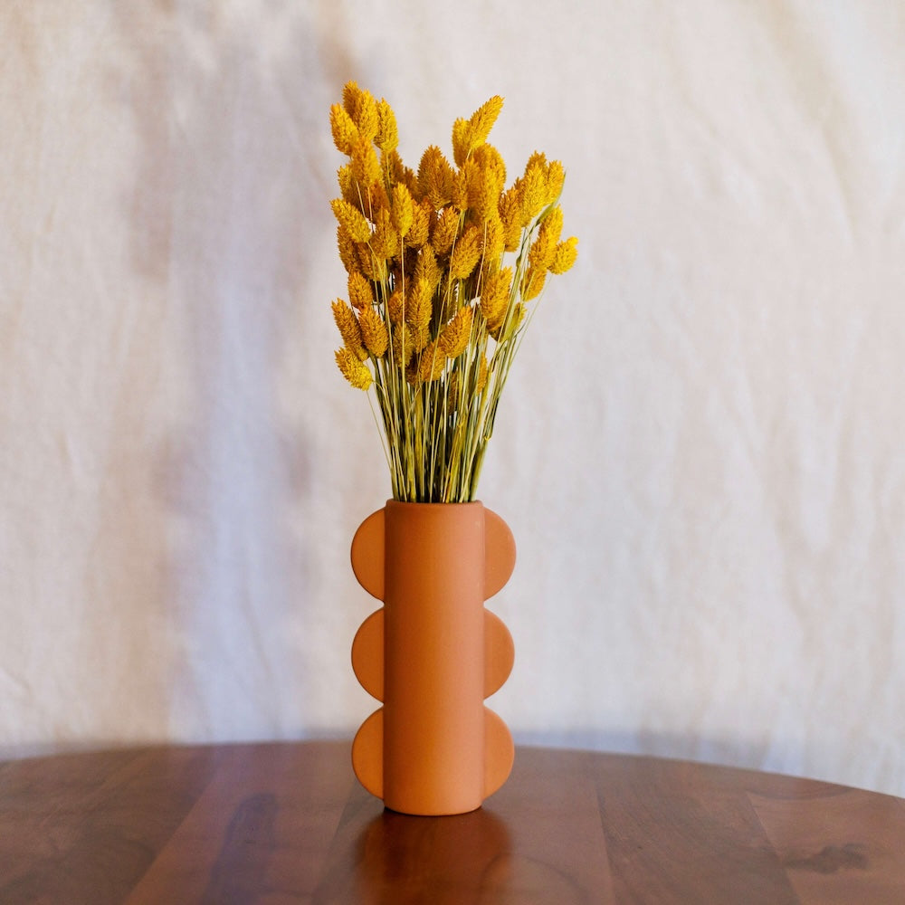 Flowrette Botte Phalaris safran fleurs séchées jaunes x1