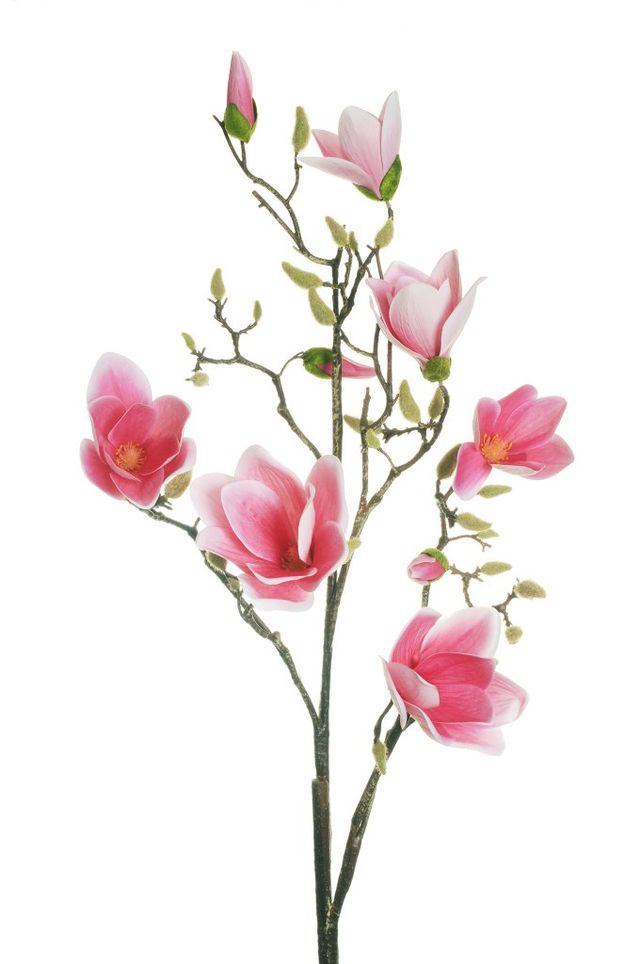 Feuillazur Branche Magnolia XL fleur artificielle rose 150cm