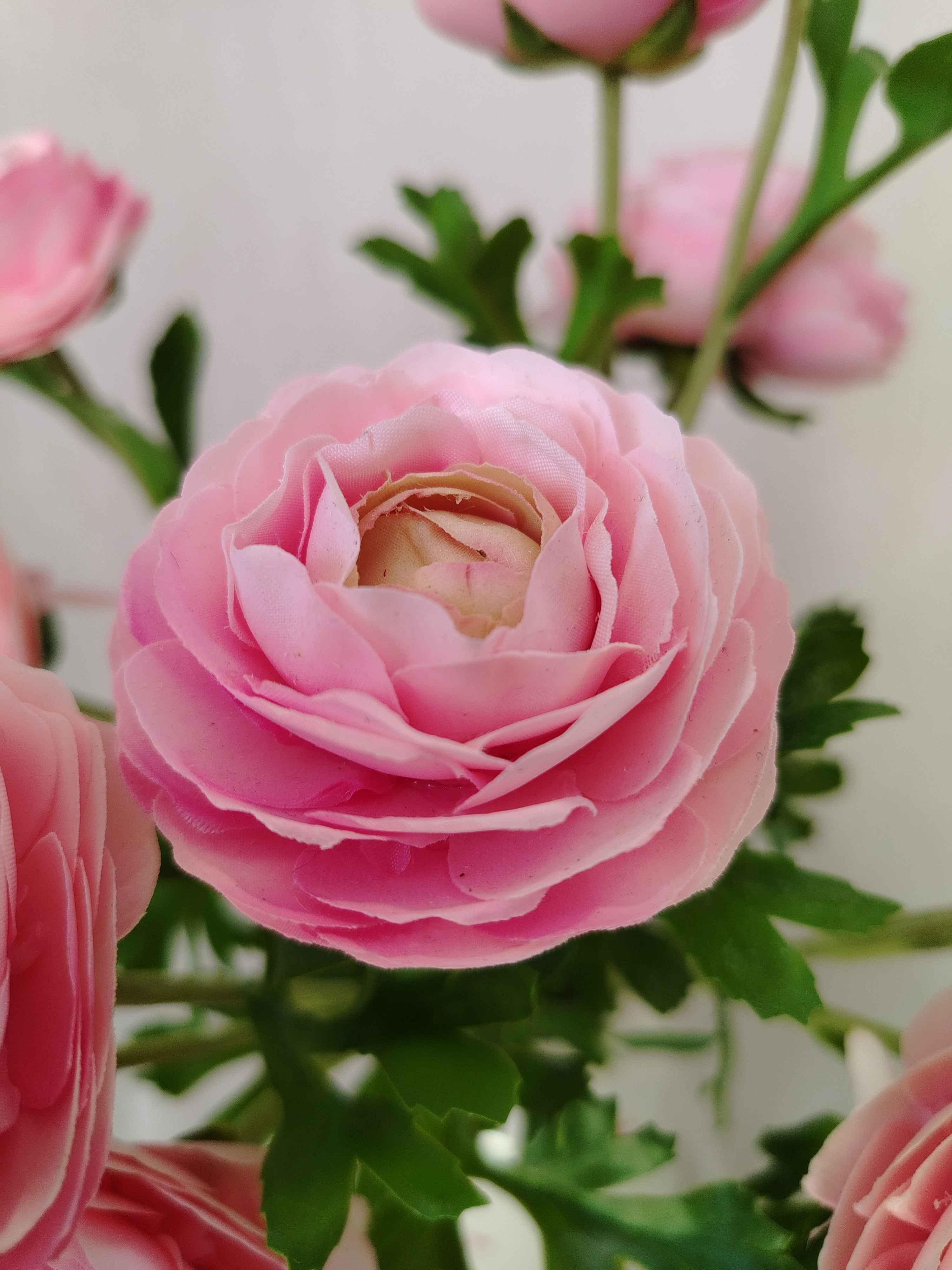 Flowrette Renoncule fleur artificielle rose poudré x1