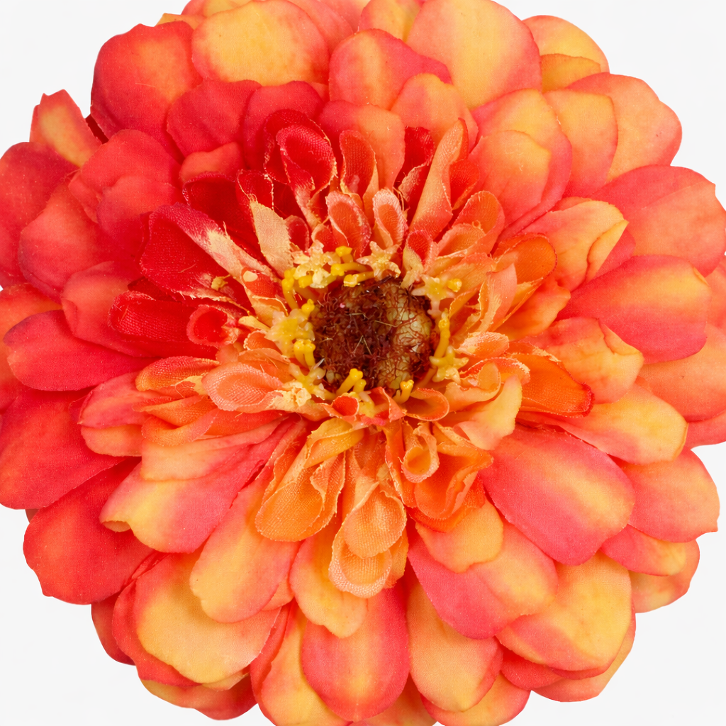 Sia Home Tiges Zinnia tige fleur artificielle orange 68 cm
