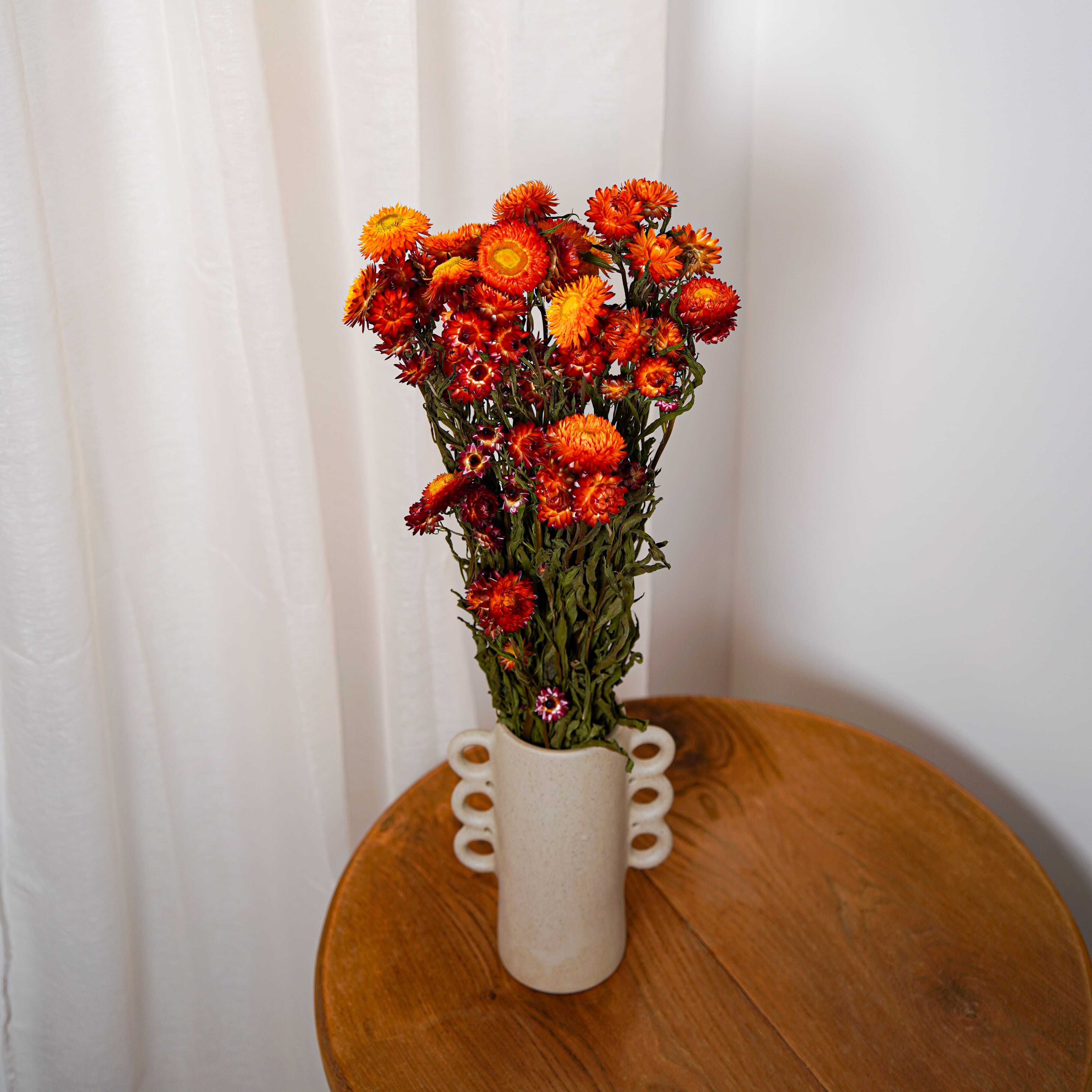 Flowrette Fleurs séchées botte Helichrysum orange x1