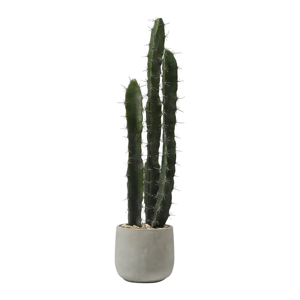 Sia Home Plantes en Pot Cactus 80 cm plante verte pot gris