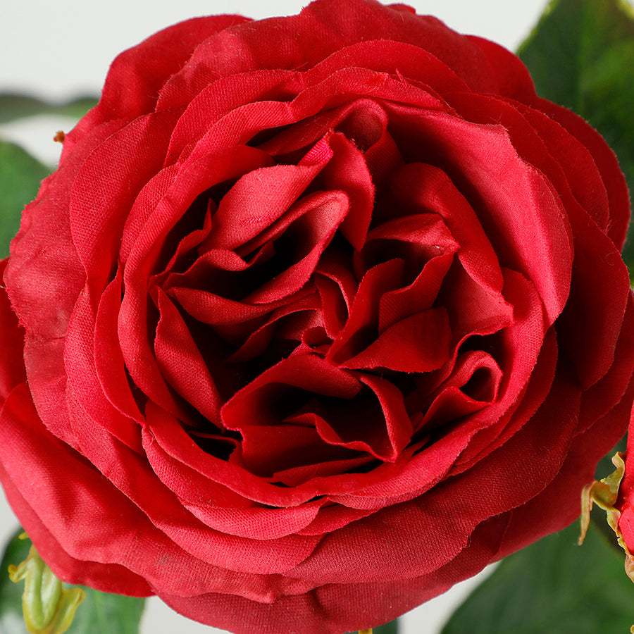 Sia Home Premium tige rose artificielle rouge 55cm ouverte