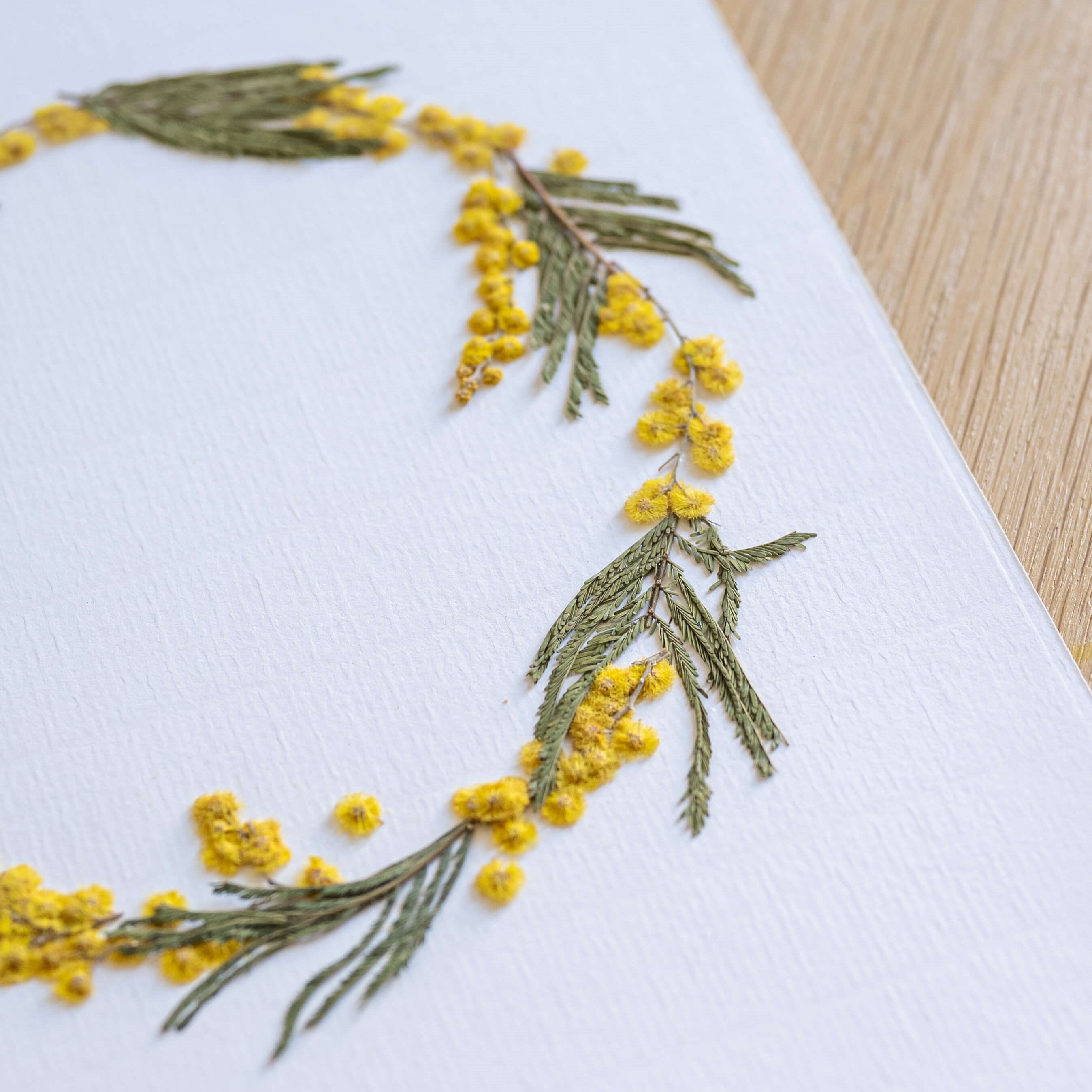 Flowrette La Ronde du Mimosa herbier fleurs pressées A4 jaune
