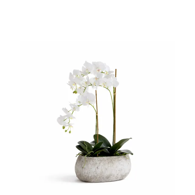 Sia Home Séréna composition orchidée artificielle 58 cm blanc