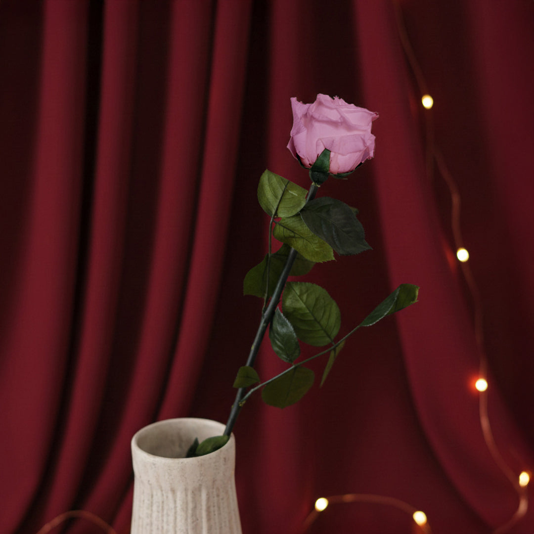 Flowrette Rose stabilisée rose naturelle x1 sans entretien