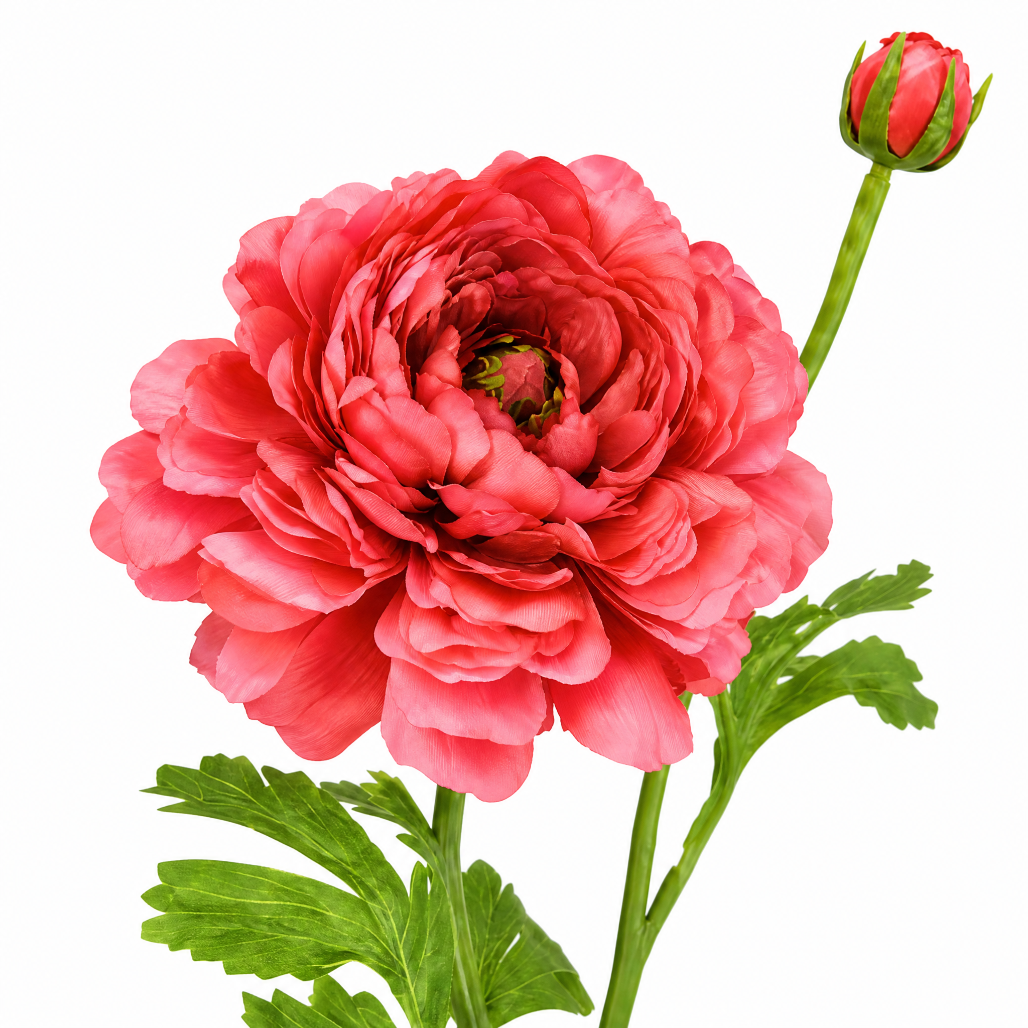 Sia Home Renoncule Nora tige artificielle rose pâle