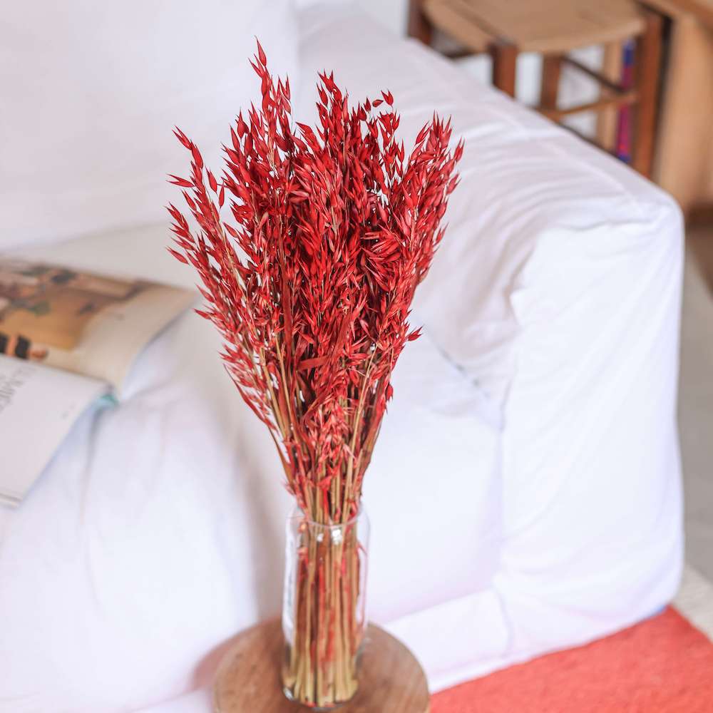 Flowrette Avoine rouge fleurs séchées botte x1