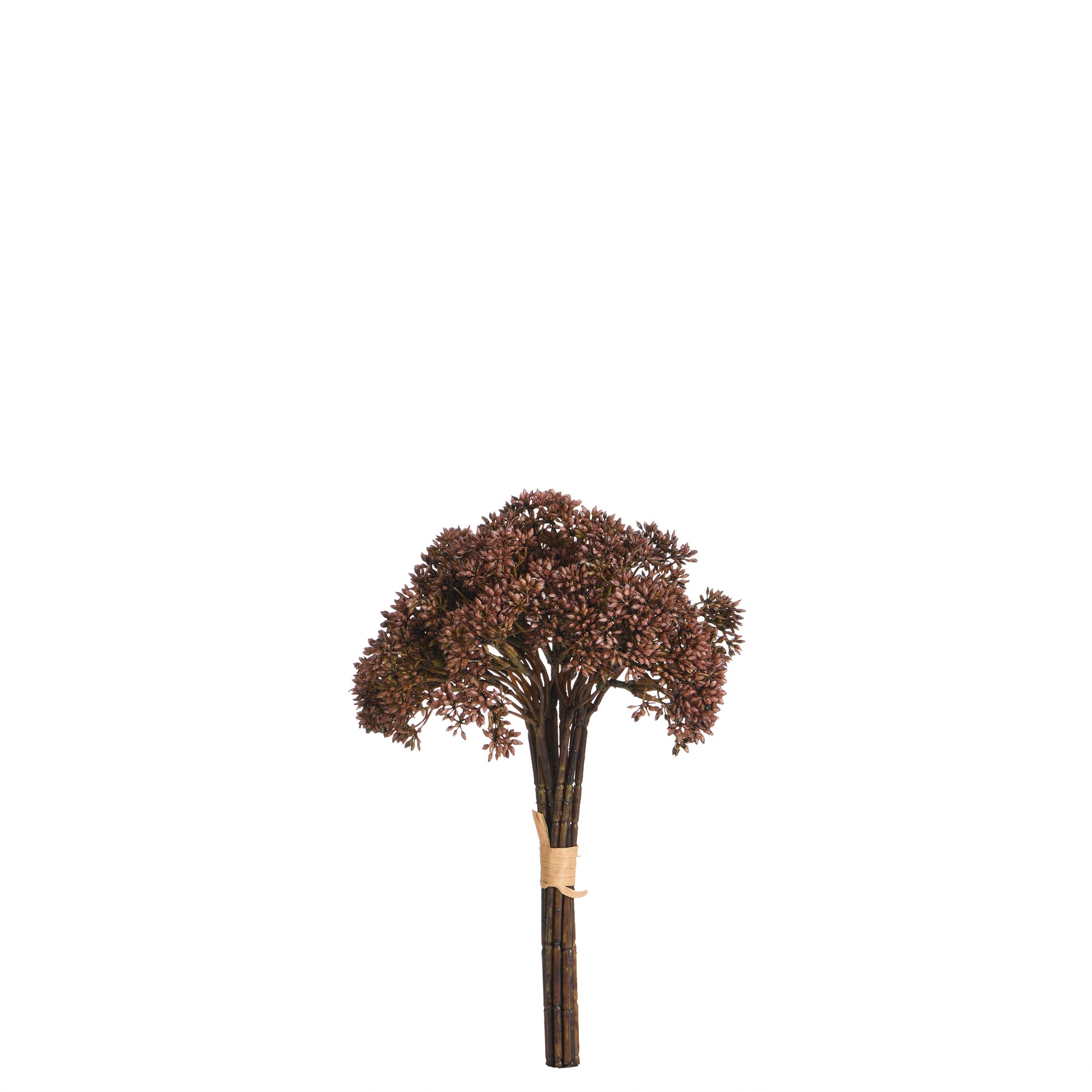 Sia Home Orpin bouquet artificiel ivoire 30 cm