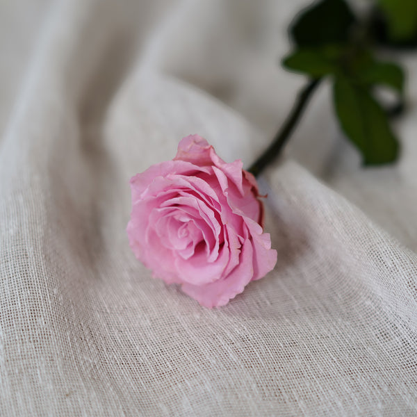 Flowrette rose stabilisée rose pâle éternelle naturelle