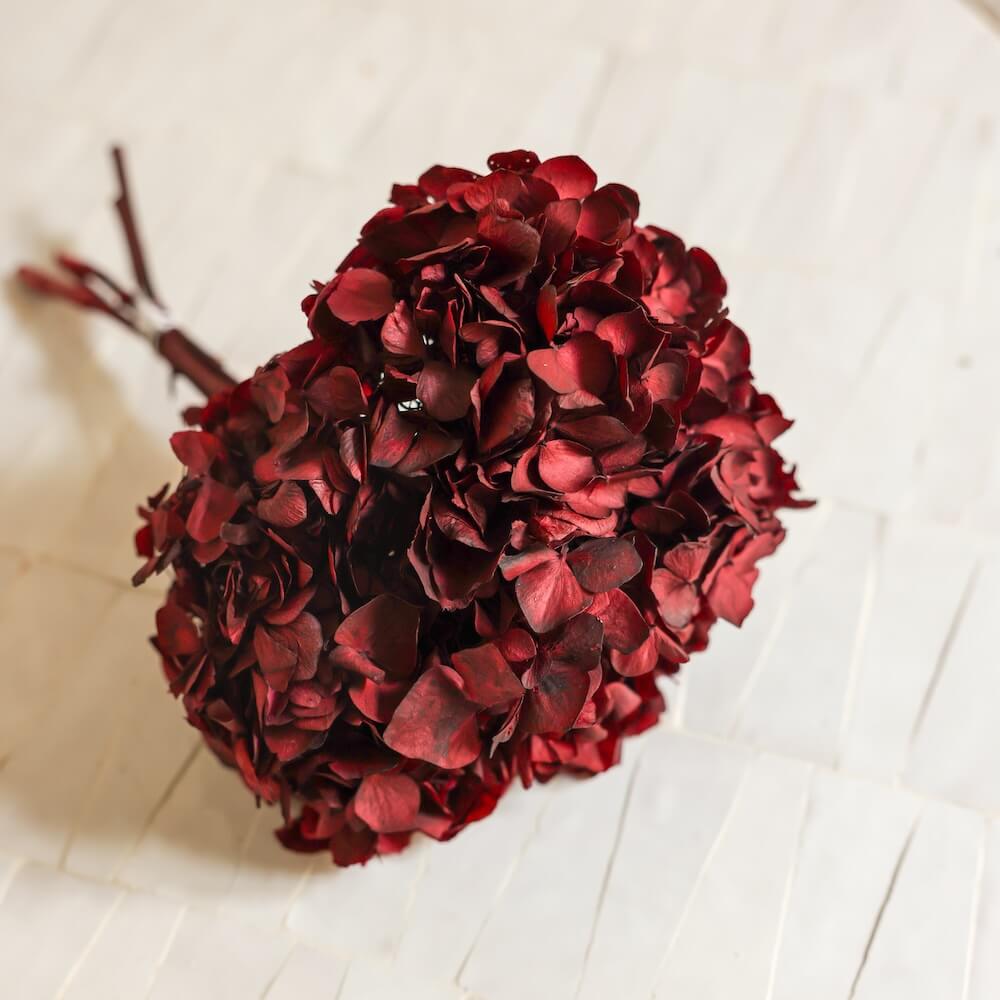 Flowrette Hortensia fleur stabilisée bordeaux x1