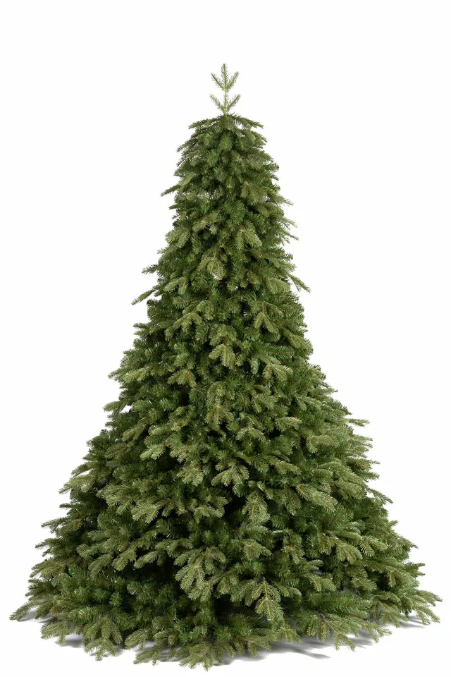 Feuillazur Rungis Sapin Pandora sapin artificiel 210 cm
